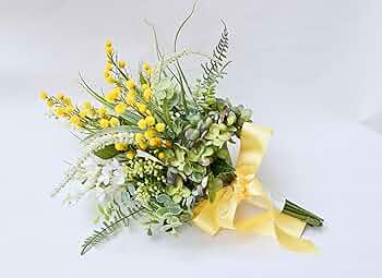 81eI101p+dL._AC_UF350,